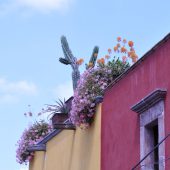  San Miguel de Allende, Mexico 2009